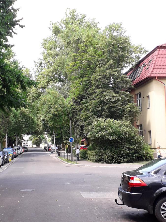 Kodaly Apartman Эгер Экстерьер фото